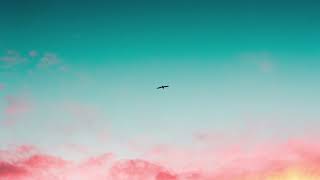 Brian Eno - Just Another Day