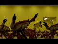 Crab Rave Backrooms Edition