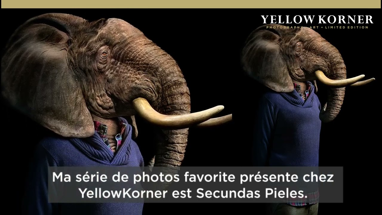 CECI N EST PAS UNE TIRELIRE, Montage, MIGUEL VALLINAS · Photographies d'art  · YellowKorner