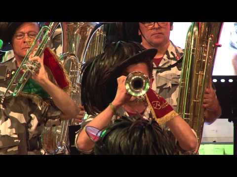 LA VARIATA FANFARA BERSAGLIERI DI BEDIZZOLE 6