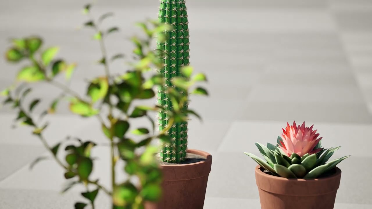 Potted Cactus 3D Model