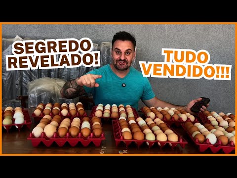 The Secret to Boosting Your Sales in Free-Range Poultry Farming