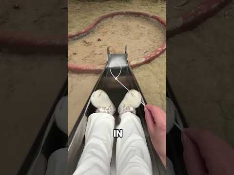 Cute Cat Is The Criminal