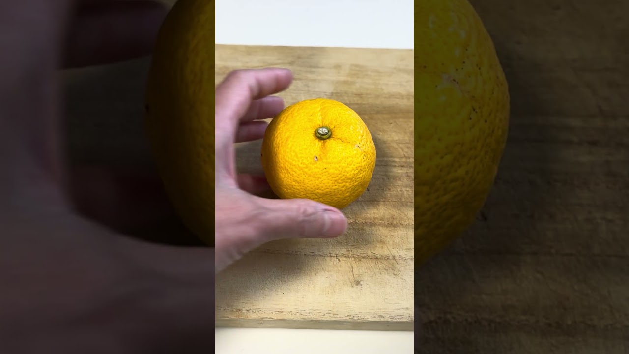 หัวไชเท้าดองยูสุ ทำง่าย อร่อย  #อาหารญี่ปุ่น #cooking #หัวไชเท้า  #หัวไชเท้าดอง #ผักดอง  #ยูสุ