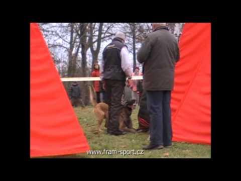 Martin Kobrč & Wamp Malidaj (Memoriál pplk. J. Ryby - 11.1.2014)