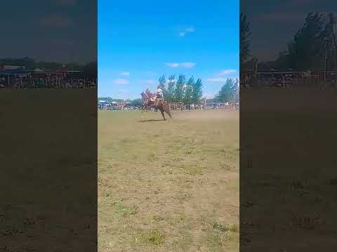 47° fiesta de la tradición buena esperanza San Luis