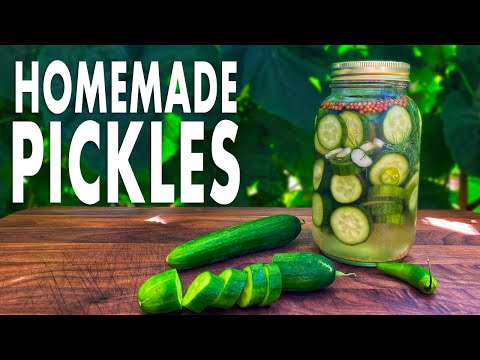 How To Make Hamburger Pickles - The Easy Quick Pickled Method