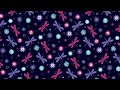 Flowers And Dragonflies Stock Motion Graphics