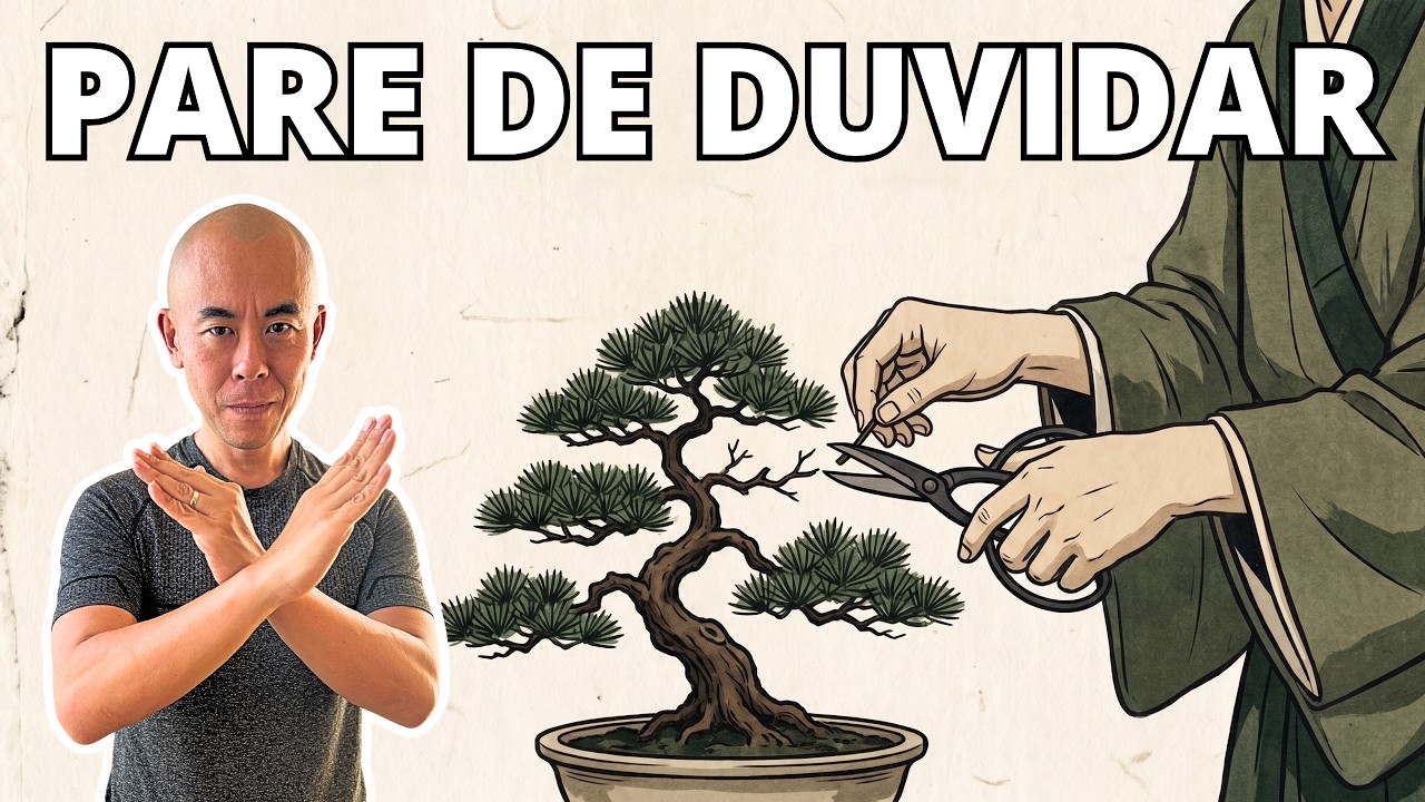 Kodawari: defina seus próprios padrões