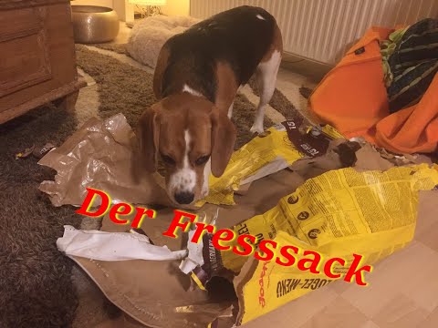 Josera Hermines Fresssack - Josera-Hundefutter Geflügel Menü