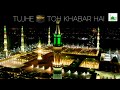 Very Emotional Naat Status Video 2020 Mujhe Nek Insan Bana Mere Moula Gunahon Ki Adat By OwaisRaza