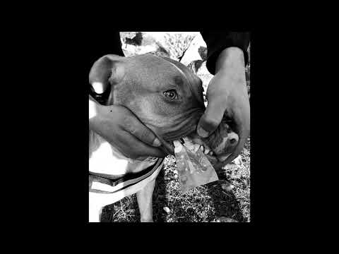 Improbus - NUESTRA CIUDAD // El pensar del cojo #1