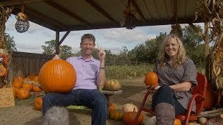 Augusta Live:  October 17th 20th - The Grascals - Steed's Dairy