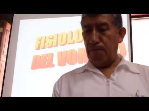 Fisiología del Vómito  y  Secreción salival