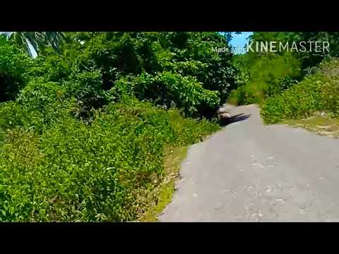 Eksplore Sulawesi Tenggara, Pantai Katemabe