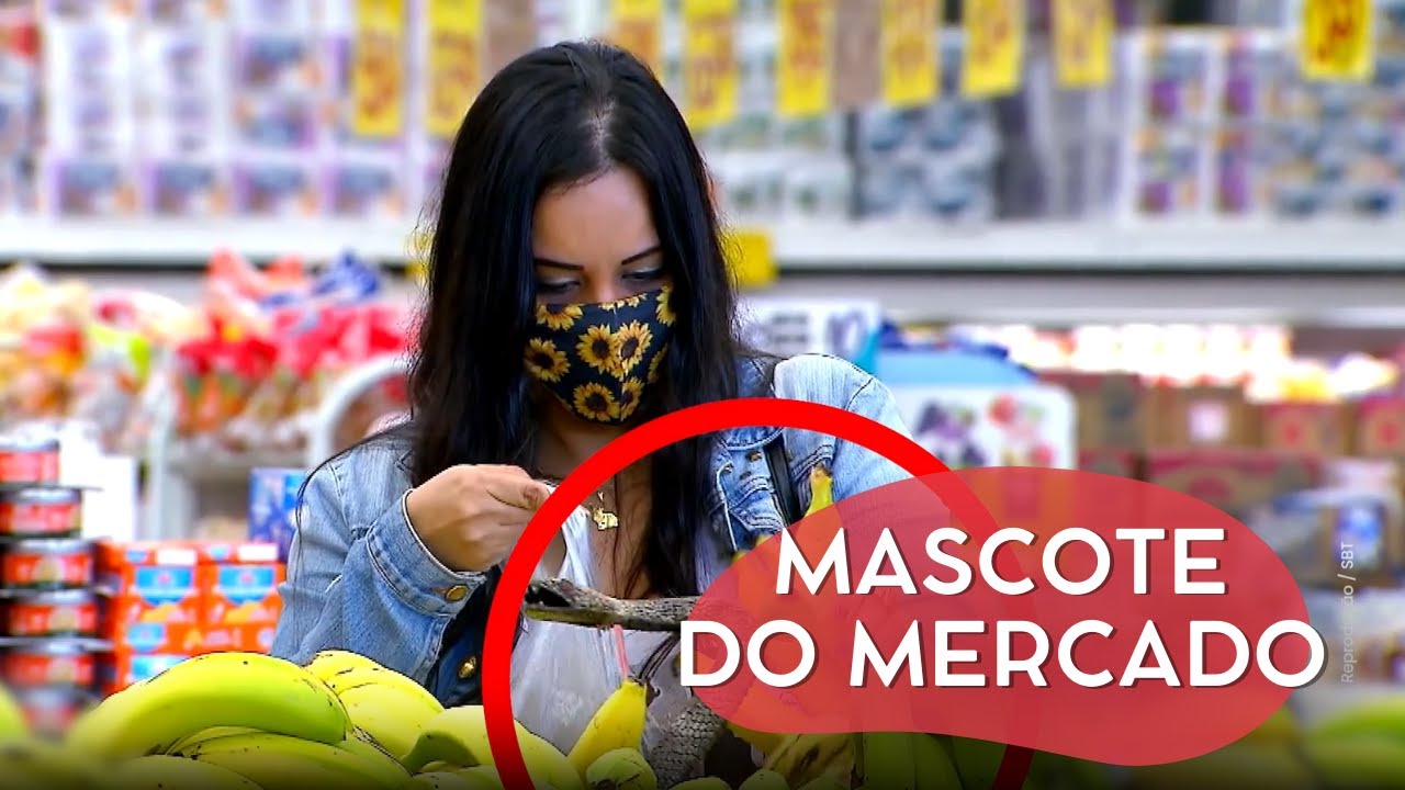 IMAGINA IR FAZER AS COMPRAS E LEVAR UMA MORDIDA? | CÂMERAS ESCONDIDAS