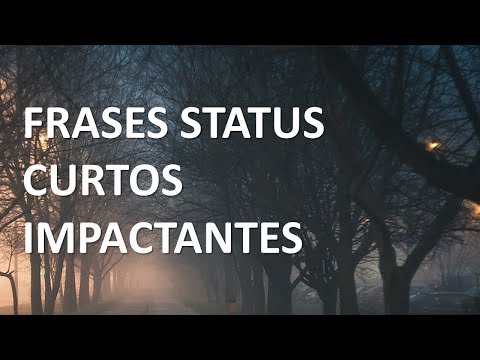 Vídeo: Mensagens Lindas para Status: perguntas e respostas