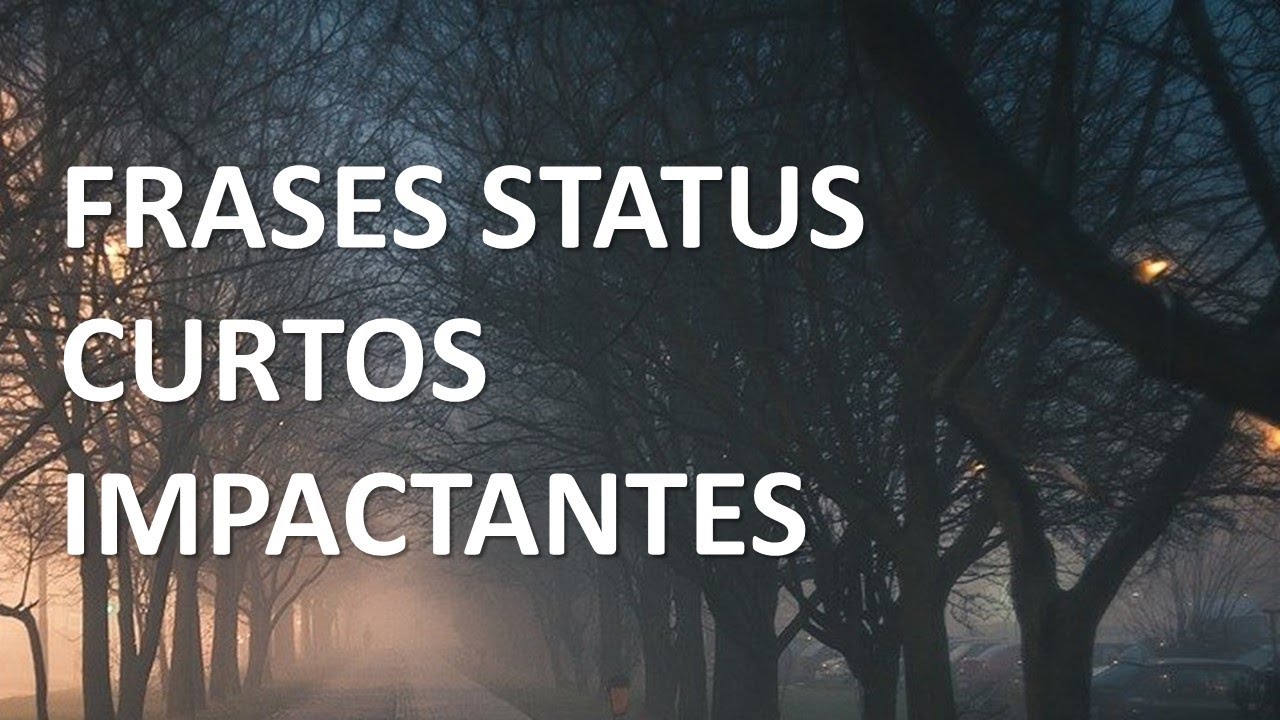 48 FRASES STATUS CURTOS E IMPACTANTES - CMNASCIMENTO