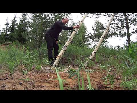 Metsolan Metsäkoulu 157 - Kaatokolo vaakaan vai vinoon?