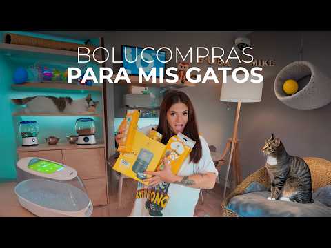 HICE UNA HABITACION INTELIGENTE PARA MIS GATOS