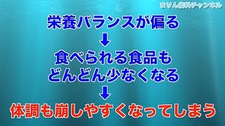 まりん歯科小児歯科医院