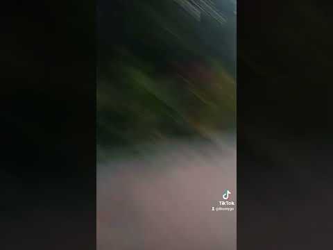 Paris By Night 121 Song Ca Nhạc Vàng (Full Program)