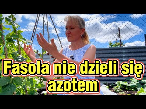 The Biggest Gardening Myth