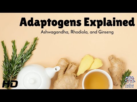 Adaptogens Explained : The Science Behind Ashwagandha, Rhodiola, and Ginseng