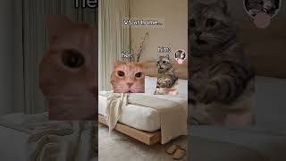 Download lagu Kirim Ini Ke Pacar Kamu🥰 #lucu #pasangan #cinta #meme #meme #kucing #kucing #hubungan mp3 Download lagu Kirim Ini Ke Pacar Kamu🥰 #lucu #pasangan #cinta #meme #meme #kucing #kucing #hubungan mp3