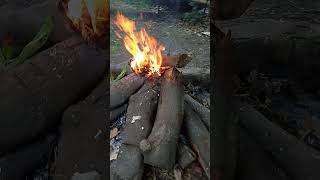 Download lagu kerja bakti bakar kayu mangga 💪💪💪💪 mp3