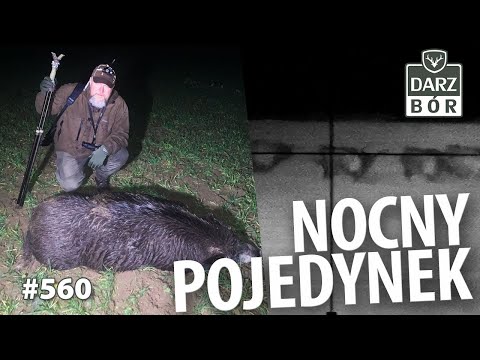 Darz Bór odc. 560. Nocne polowanie na dziki!