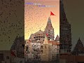 Jay Dwarkadhish WhatsApp Status 2023 Youtube Dwarkadhish Status Thakar Dwarka