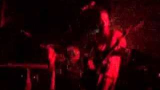 Sleepytime Gorilla Museum - Freedom Club - Wien 24/04/07