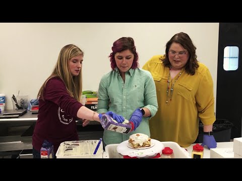 The Lynn Vance Show 141 / Decorating Lowder King Cakes