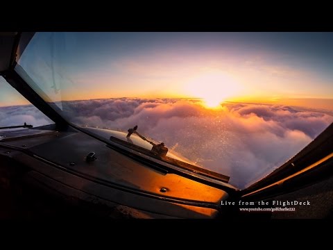 שידור חי מתא הטייס: הסרטון הבא יהפוך אתכם לטייסים ליום אחד