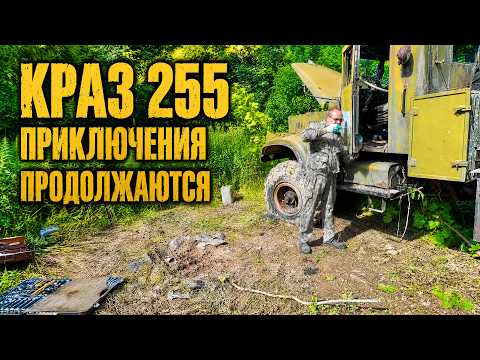 Брошенный КрАЗ 255 простоял 20 лет, пробуем уехать своим ходом!!