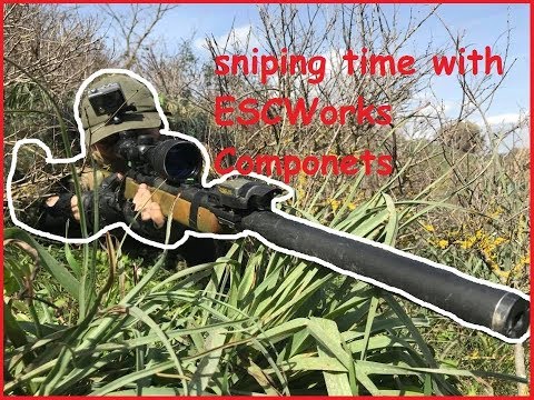 Sniper and Spotter in Action the best combo destroy everyone