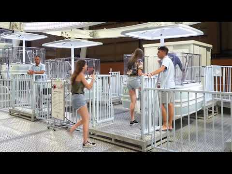 Altravista Wheel Viareggio