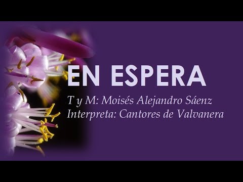 CANTOS DE ADVIENTO -  4º DOMINGO  DE ADVIENTO - EN ESPERA