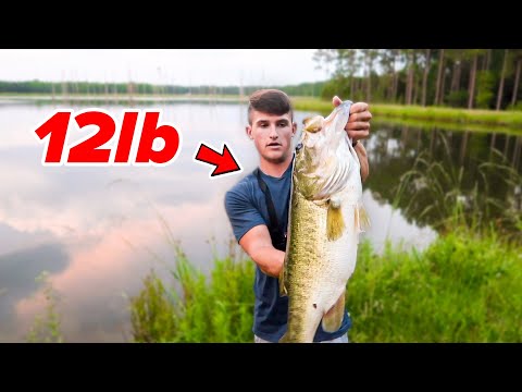 Catching My BIGGEST Bass EVER - 12lber (Bank Fishing)
