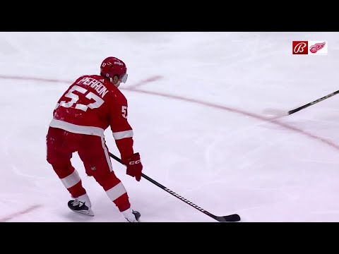 David Perron Season Highlights (2022-2023)