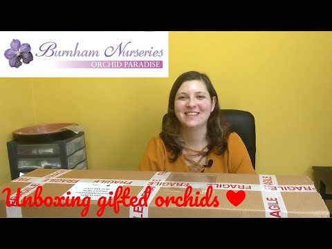 Unboxing gifted orchids from Burnham Nurseries 🌸🥰