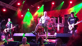 Peter and the test tube babies none of your fkn business rebellion 2018