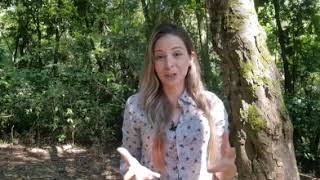 Miniatura do vídeo