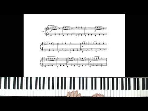 Czernyana - fascicolo I - n. 23 - Allegro - piano tutorial by Antonio De Angelis