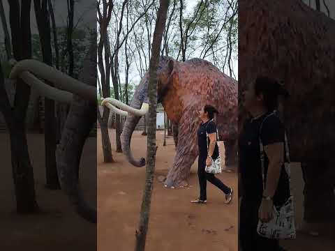 Park Mandacaru município de Lagoa de Velho RN 28/07/2025