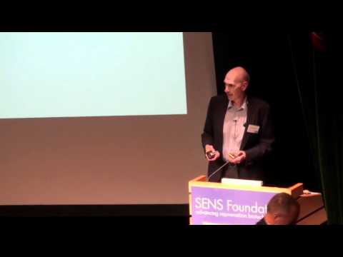 SENS5 - Thymic Tissue Regeneration Using Natural Scaffolds - Part 2