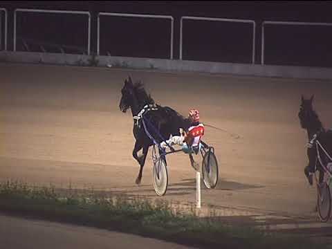 Trotto 09/11/2018 - 7ª corsa