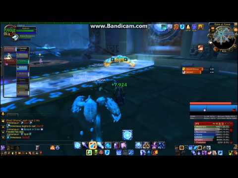 Unspoken Insanity Vs  Immerseus