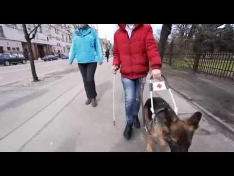 ZB 25ser - Suns - pavadonis